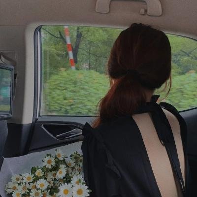 王之逆袭：意志的继承者